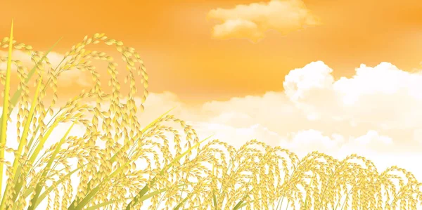 Ris hösten landskap bakgrund — Stock vektor