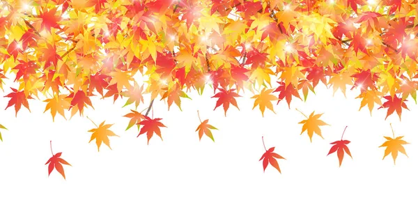 Maple autumn landscape background — Stock Vector