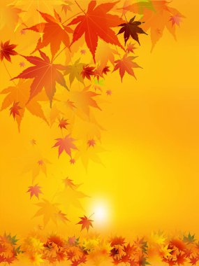 Akçaağaç sonbahar manzara arka plan