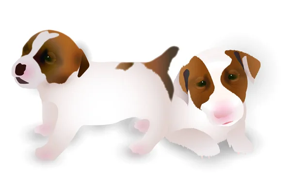 Hund Beagle Neujahrskarte Symbol — Stockvektor