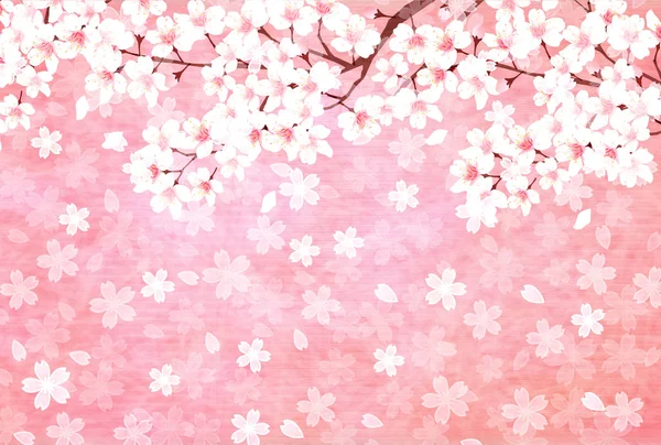 Kiraz çiçekleri yeni yıl kartı arka plan bahar arka plan