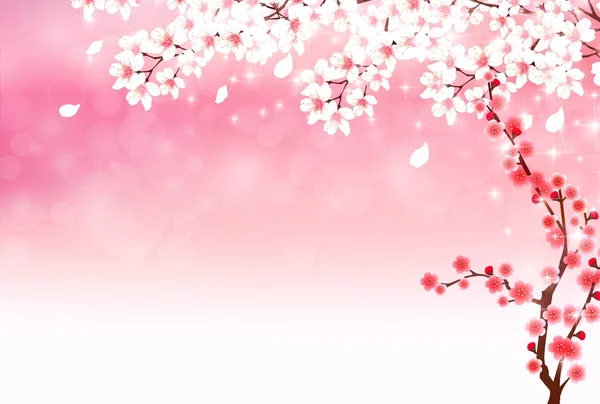 Flores de cerejeira Ano Novo cartão fundo primavera fundo — Vetor de Stock