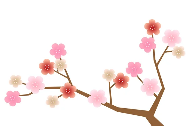 Pflaumenblüten Neujahrskarte Frühlingssymbol — Stockvektor
