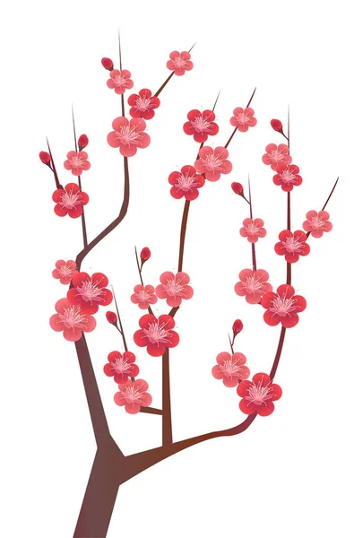 Plum Flower Spring Icon — Stock Vector