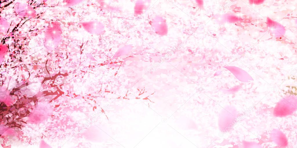 Cherry blossoms Flowers Spring background