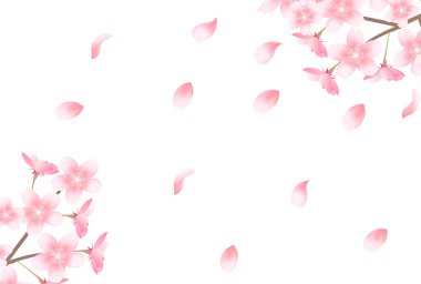 Kiraz çiçekleri çiçek bahar arka plan