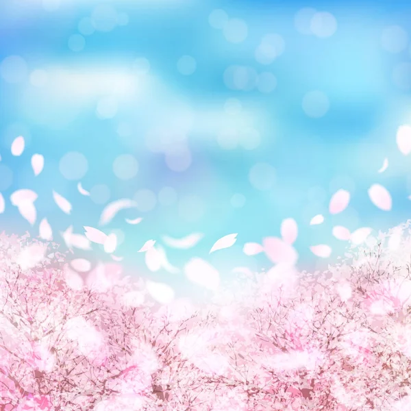 Цветы Сакуры Весенний Фон — стоковый вектор