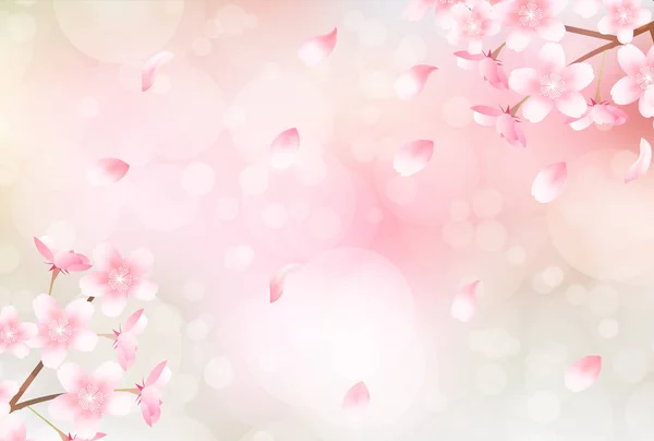 Cherry Blossoms Flowers Spring Background — Stock Vector