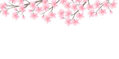 Kiraz çiçekleri bahar çiçek arka plan