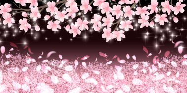 Kiraz çiçekleri bahar çiçek arka plan