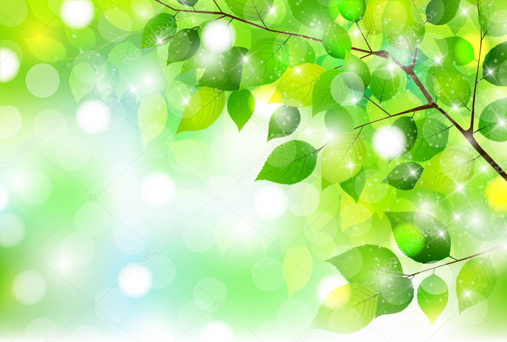 Fresh green leaves Landscape background