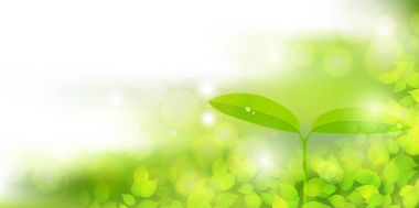 Taze yeşil Eko yaprak arka plan