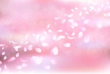 Kiraz çiçekleri bahar çiçek arka plan