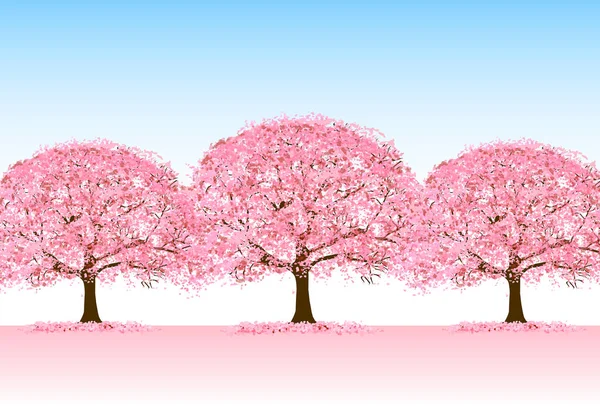 Kirschblüten Frühling Blume Hintergrund — Stockvektor