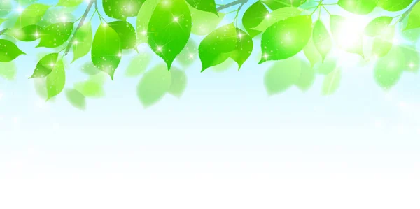 Fresh green leaves landscape background