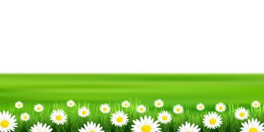 Çiçek ovaları arka plan manzara