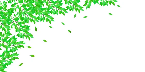 Hojas Verdes Frescas Fondo Paisaje — Vector de stock