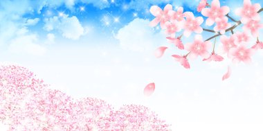 Kiraz çiçekleri bahar çiçek arka plan