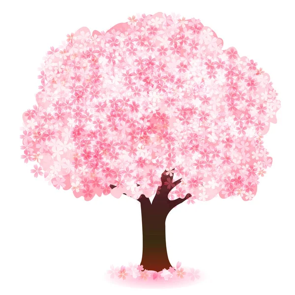 Cherry Blosoms ไอคอนดอกไม ใบไม — ภาพเวกเตอร์สต็อก