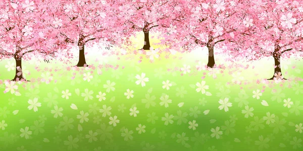 Fleurs Cerisier Fond Fleur Printemps — Image vectorielle