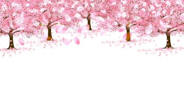Flores Cerejeira Fundo Flor Primavera — Vetor de Stock