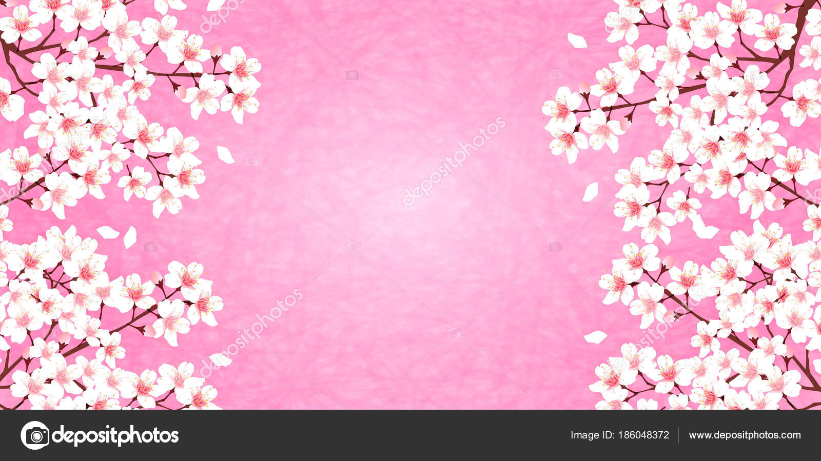 Fond Fleur Cerisier Fleurs Printemps Image Vectorielle