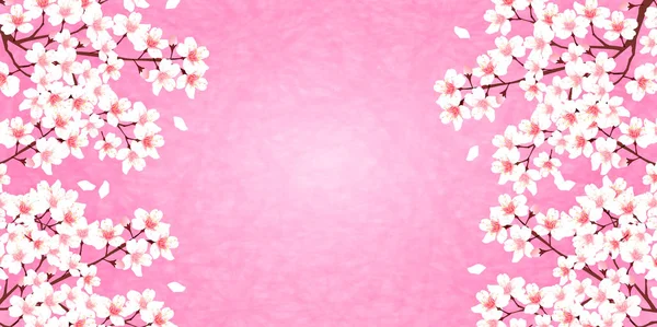 Cherry Blossoms Voorjaar Bloem Achtergrond — Stockvector