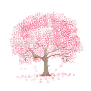 Kiraz çiçekleri bahar çiçeği ikonu