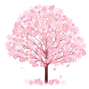 Kiraz çiçekleri bahar çiçeği ikonu