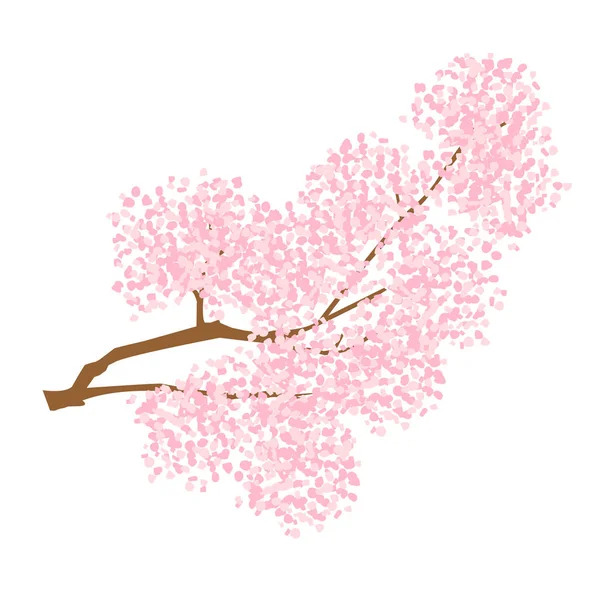 Třešňové Květy Jarní Květinové Ikony — Stockový vektor