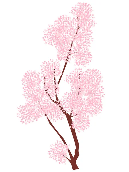 Cherry Blossoms Spring Flower Icon — Stock Vector