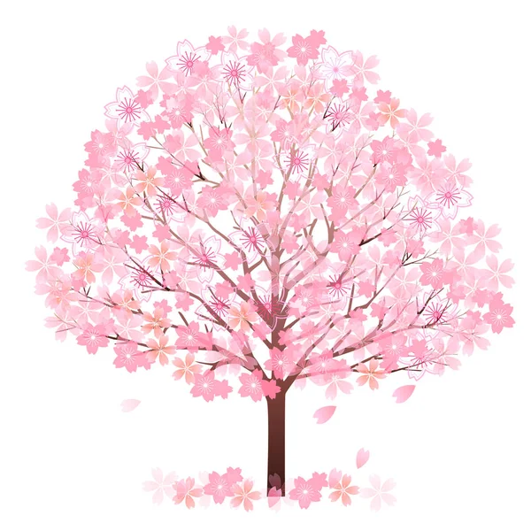 Wiśniowe Kwiaty Ikona Wiosennego Kwiatu — Wektor stockowy