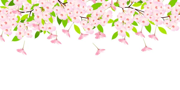 Cseresznye Virágok Tavaszi Virágot Háttér — Stock Vector