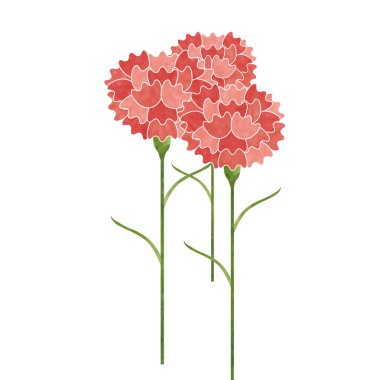 Karanfil anneler günü çiçek simgesi