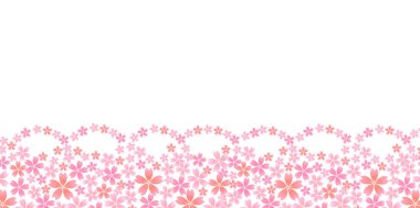 Kiraz çiçekleri bahar çiçek arka plan