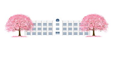 Kiraz çiçekleri bahar çiçek arka plan