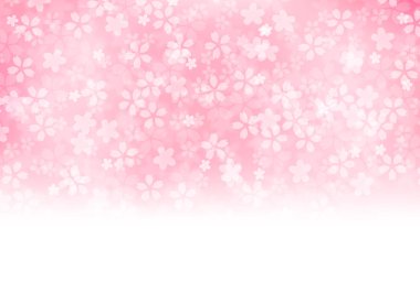 Kiraz çiçekleri bahar çiçek arka plan