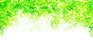 Taze yeşil yaprakları manzara arka plan