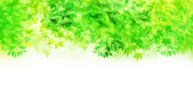 Taze yeşil yaprakları manzara arka plan