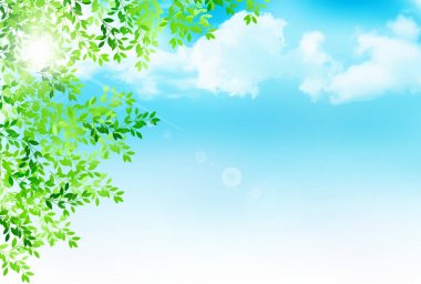 Taze yeşil yaprakları manzara arka plan