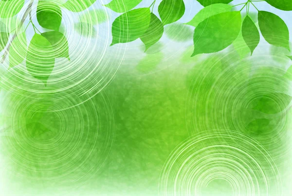 Green Tea Green Spring Background — Stock Vector