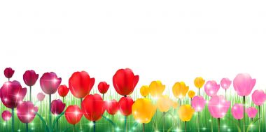 Lale bahar çiçek arka plan