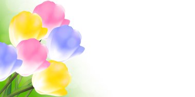 Lale bahar çiçek arka plan