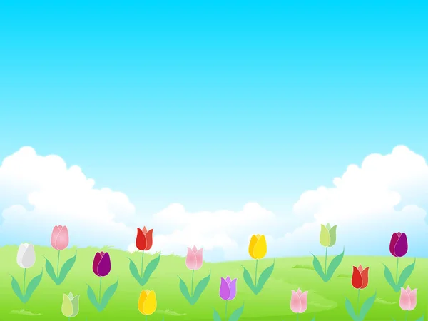 Tulppaani Kevät Kukka Tausta — vektorikuva