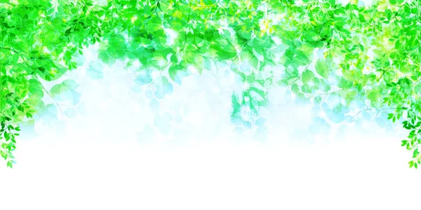 Свежие Зеленые Листья — стоковый вектор