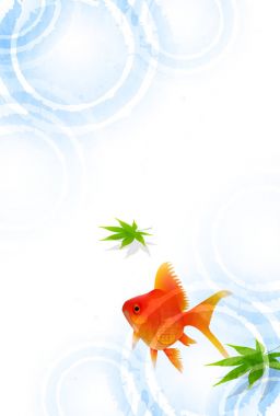 Japon Balığı Akçaağaç Yaz tebrik kartı geçmişi