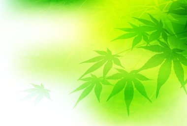 Akçaağaç yaprağı Japon kağıt arka plan