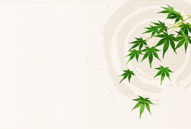 Akçaağaç yaz manzara arka plan