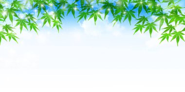 Akçaağaç yaz manzara arka plan