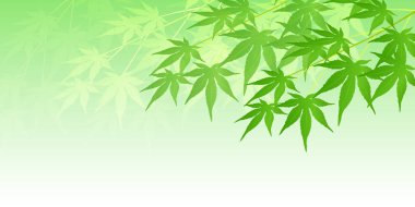 Akçaağaç yaz manzara arka plan